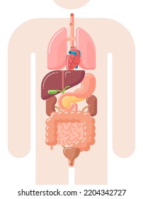 Flat design vector illustration of human internal organs - lungs, heart, liver, stomach, gall bladder, pancreas, kidneys, urinary bladder and intestine