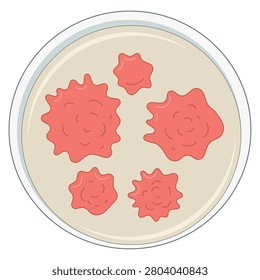 A flat design vector illustration of a petri dish showcasing the growth of irregular microbial or fungal colonies. The graphic features a neutral beige agar medium substrate with several distinct, large pink colonies characterized by lobate or undulating margins, closely resembling mold, yeast, or specific irregular bacterial cultures. This clean and minimalist icon is ideal for biology textbooks, scientific laboratory infographics, medical mycology testing materials, and biotechnology presentations.
