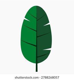 A flat design vector illustration of a tropical banana leaf in a clean minimalist style, featuring a dual-tone green split leaf texture with a central dark stem, isolated on a white background.