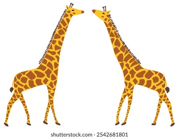 Flat design vector illustration of two giraffes full figure seen from the side