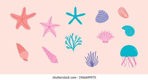 Flat design vector illustrations, seashells collection. Marine elements set. 