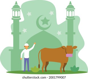 Flat Design Vector Qurban Idul Adha A Muslim Man with Cow Illustration Perfect For Adds Social Media and Books Content