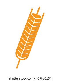 flat design wheat ear icon vector illustration