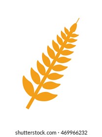 flat design wheat ear icon vector illustration