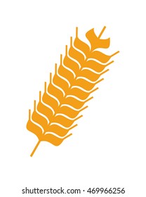 flat design wheat ear icon vector illustration
