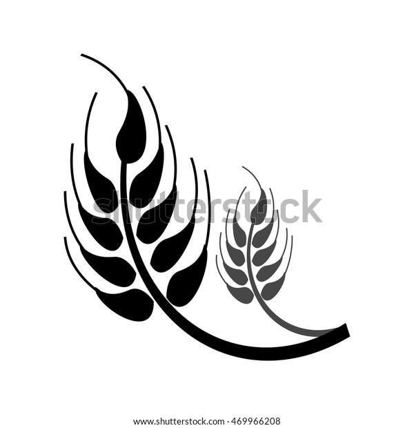 flat design\
wheat ear icon vector\
illustration