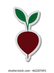 flat design whole beet icon vector illustration