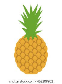 flat design whole pineapple icon vector illustration