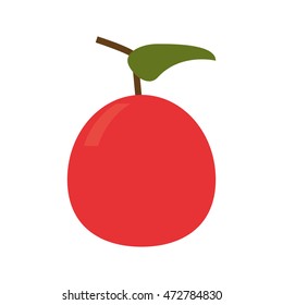 flat design whole tomato icon vector illustration