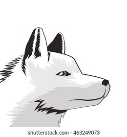 flat design wolf drawing icon vector illustration