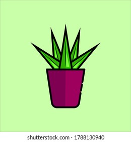 Flat design yucca plant mini pots collection