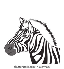 flat design zebra drawing icon vector illustration