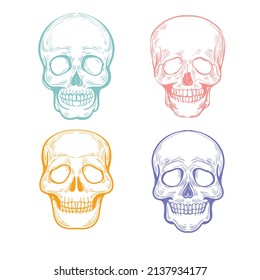 flat different types skull collection set vector