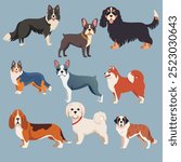 Flat Dog breeds in vector set. Border Collie, French Bulldog, Cavalier King Charles Spaniel, Maltese, Australian Shepherd, Boston Terrier, Basset Hound, Saint Bernard, Samoyed