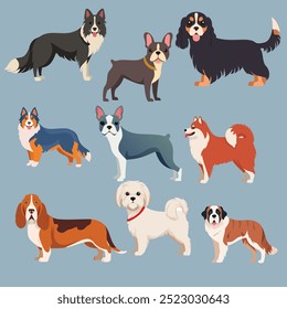 Flat Dog se reproduz em conjunto vetorial. Border Collie, Bulldog Francês, Cavalier King Charles Spaniel, Maltês, Pastor Australiano, Boston Terrier, Basset Hound, Saint Bernard, Samoyed