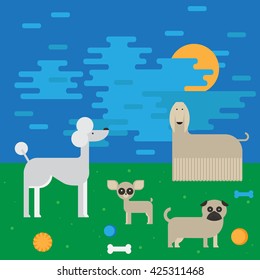 flat dog characters set, cartoon pet animal collection chihuahua, pug and afgan greyhound