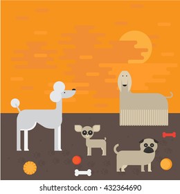 flat dog characters set, cartoon pet animal collection chihuahua, pug and afgan greyhound