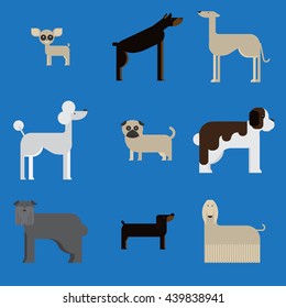 flat dog characters set, cartoon pet animal collection chihuahua, doberman andmastiff. Afghan greyhound, st bernard, pug, poodle and dachshund.
