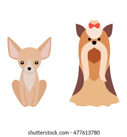 Flat dog pet sitting cute dog vector