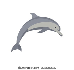 Flat dolphin. Vector illustration. Collection