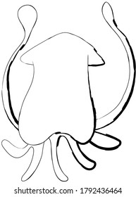 Imagen plana de dibujo de garrapatas, ilustración vectorial