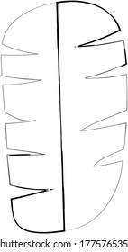 Flat doodle object of banana leaf, vector illustration