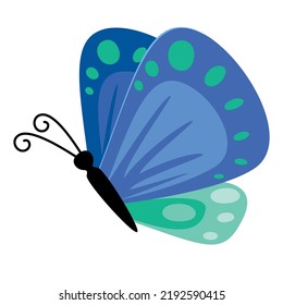 Flat Drawing Of A Butterfly