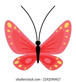 Flat Drawing Of A Butterfly