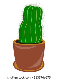 Flat drawing of a cactus. Houseplant. Green cactus in a pot. Isolated, white . Vector