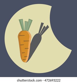 flat drawing carrots with shadow