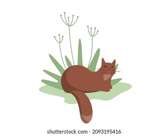 Dibujo plano de un gato en la naturaleza. Amada mascota, cuidado y atención. Ilustración vectorial plana sobre fondo blanco.
