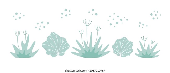 Flat drawing of a plant, summer grass. Set of plants, elements for design. Cartoon vector illustration on white background.