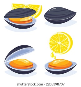 Flat Drawing Of Various Mussels 