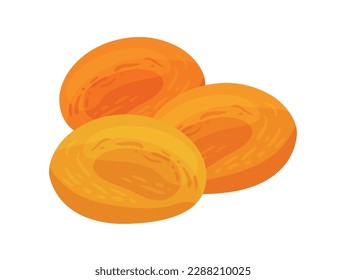 Flat dried apricots on white background vector illustration