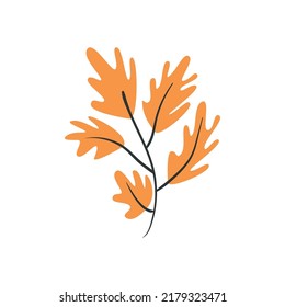 diseño de planta seca plana sobre blanco