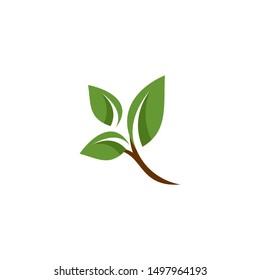 flat eco leaf logo template