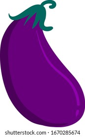 Planta plana, ilustración, vector sobre fondo blanco.
