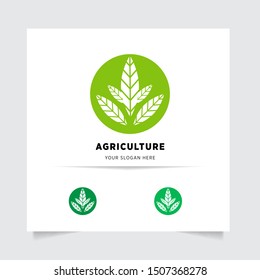 flat emblem logo design for Agriculture with the concept of green leaves vector. Green nature logo used for agricultural systems, farmers, and plantation products. logo template.