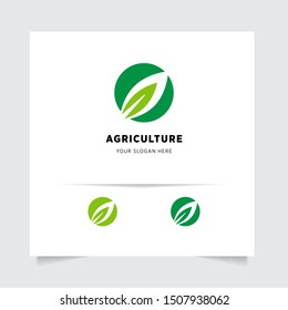 flat emblem logo design for Agriculture with the concept of green leaves vector. Green nature logo used for agricultural systems, farmers, and plantation products. logo template.