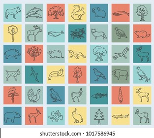 Flat European flora and fauna  elements. Animals, birds and sea life simple line icon set. Vector illustration