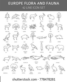 Flat European flora and fauna  elements. Animals, birds and sea life simple line icon set. Vector illustration