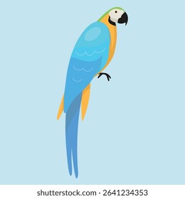 flat exotic bird vector design