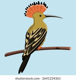flat exotic bird vector design
