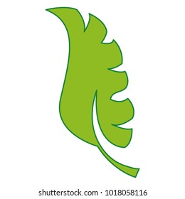 flat exotic leaf plant design