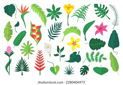 Hojas de plantas exóticas planas, arbusto tropical florido. Hojas de selva aisladas, arbustos y follaje de palma. Gráfica abstracta botánica, naturaleza vectorial neoterica clipart