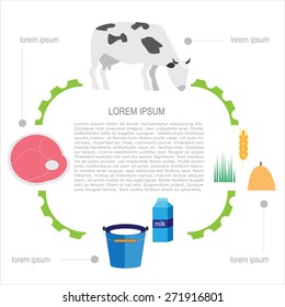 Flat Farm infographic . vector background