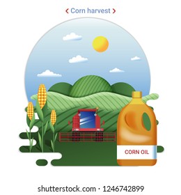 Flat farm landscape illustration of corn harvest. Rural landscape with corn fields and harvester.