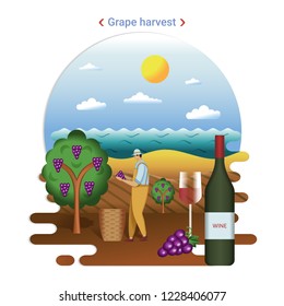 Flat farm landscape illustration of grape harvest. Rural landscape with grape valley,  seaside. The farmer harvesting grapes for wine production.