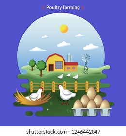 Flat farm landscape illustration of poultry farming. Rural landscape with grassland and Countryside House. Hens graze and hatch eggs.