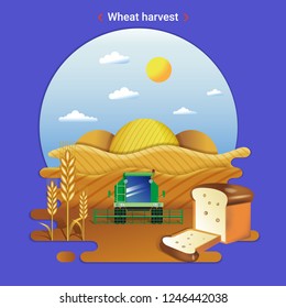 Flat farm landscape illustration of wheat harvest. Rural landscape with wheat valley, field and harvester.